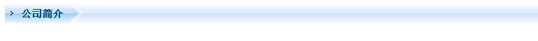 公司简介